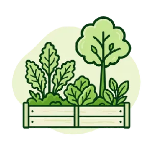 SAIBA O QUE PLANTAR EM CADA CANTO